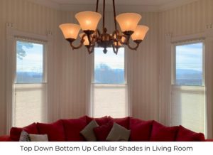 cellular_shades_living_room