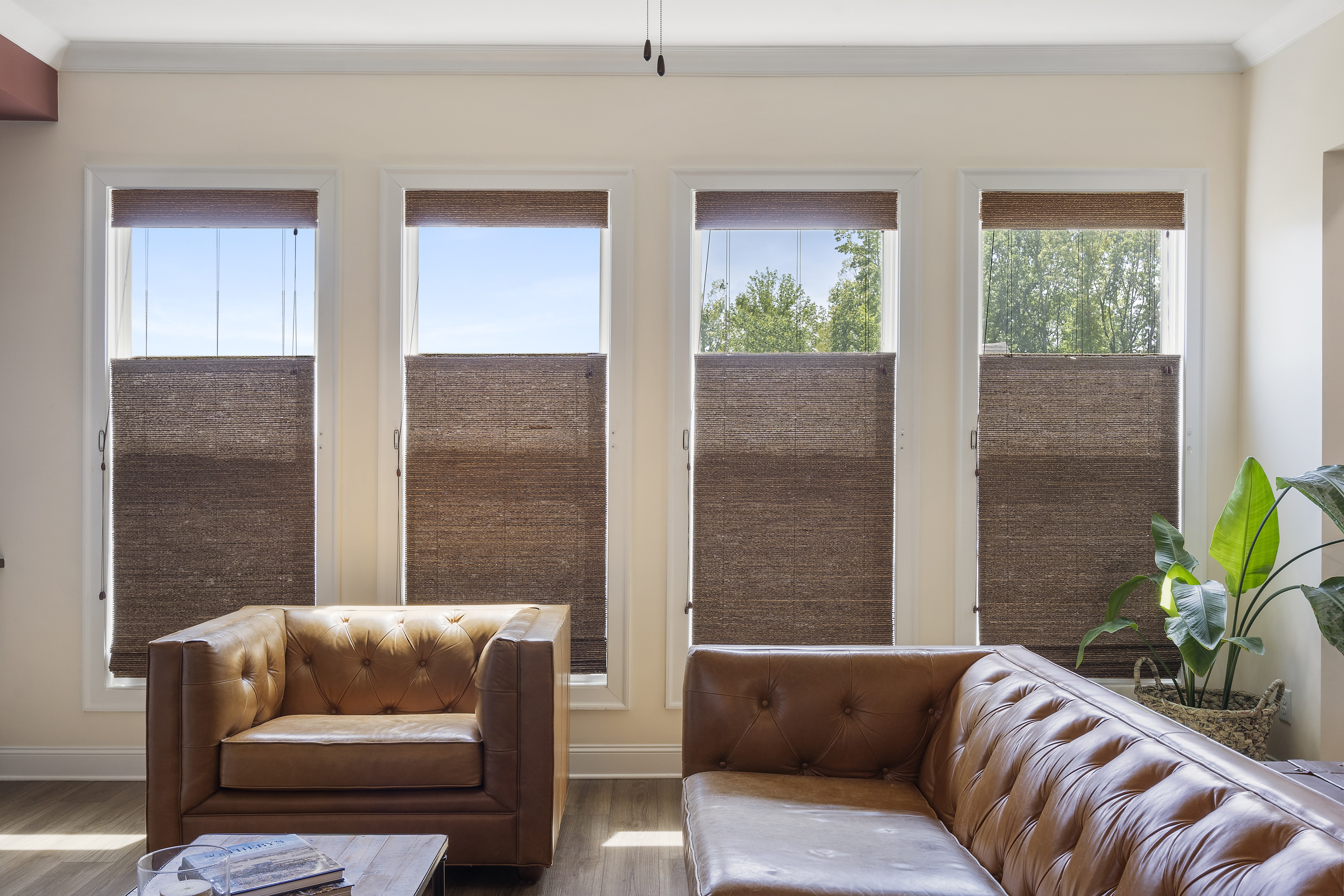 top down bottom up woven shades